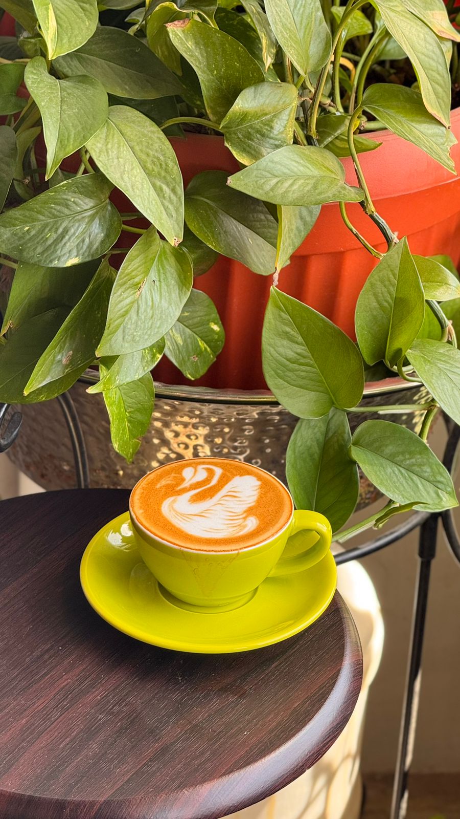 كوفي روت 66 CR66 - صورة 3