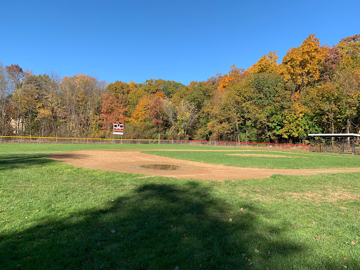 Conant Field - Visual