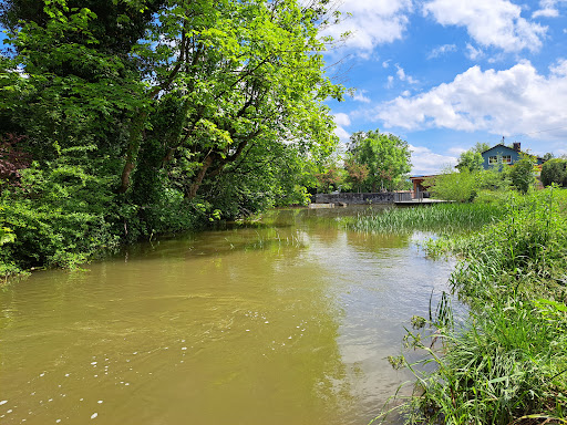 Dorfweiher Ermengerst - Thumbnail