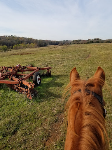 Tarrant Ranch - Visual