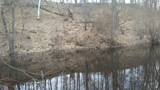 Mittineague Park - Conservation area - Thumbnail