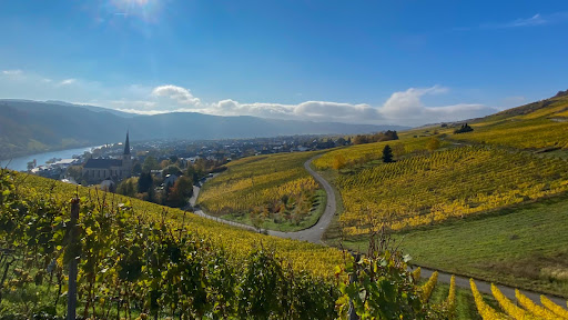 Ferienweingut Jürgen Beth, Weingut & Ferienwohnungen - Thumbnail