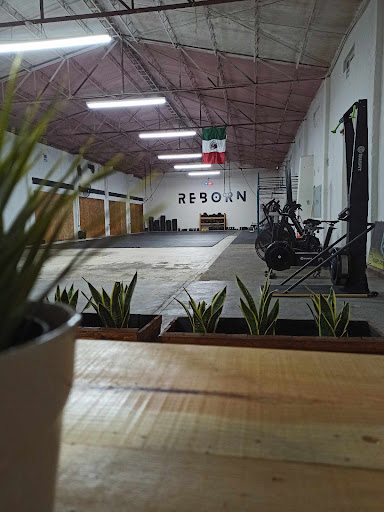 Reborn Crosstraining - Visual
