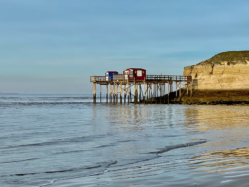 MESCHERS-SUR-GIRONDE - Vergnes Gallery - France