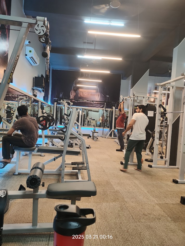 Alpha Gym