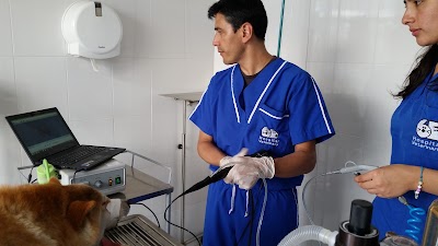 Photos of Veterinary Hospital GB
