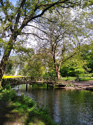 Wandelbos Groenendaal Gallery - Netherlands