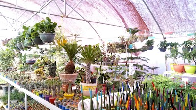 Photos of Sarcheshmeh Park