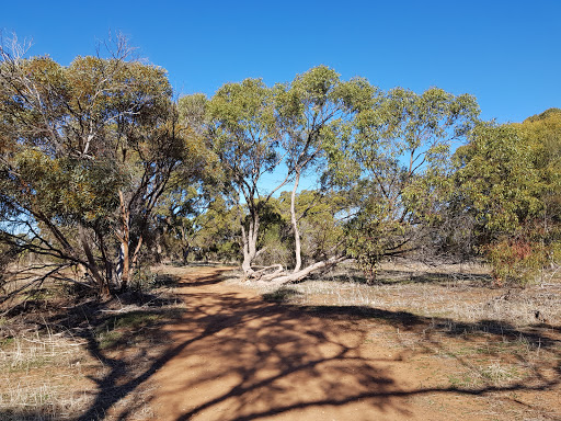 Pingle Farm Trail Carpark - Thumbnail