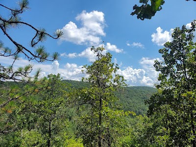 Coldwater Mountain Bike Trails, Anniston Trailhead