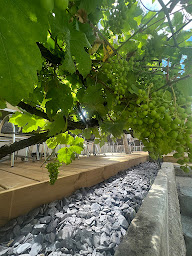 Photo n°7 de Cesena Trattoria à Guermantes (Pizzeria)