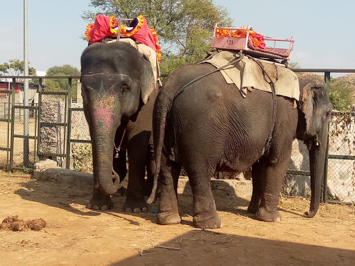 Voyage en Inde sur Mesure - Thumbnail