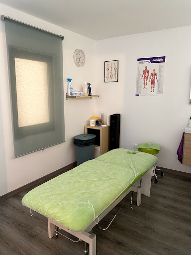 Fisiomon
