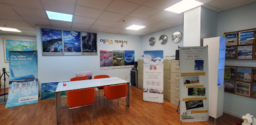 Ace Travel Agency - Thumbnail