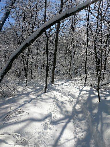 Buxton Trail - Visual