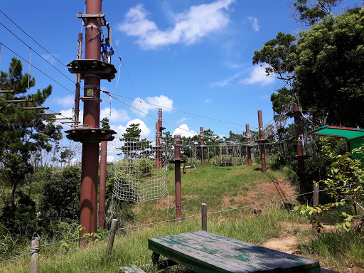 Forest Adventure In Onna Onna Son Destimap Destinations On Map