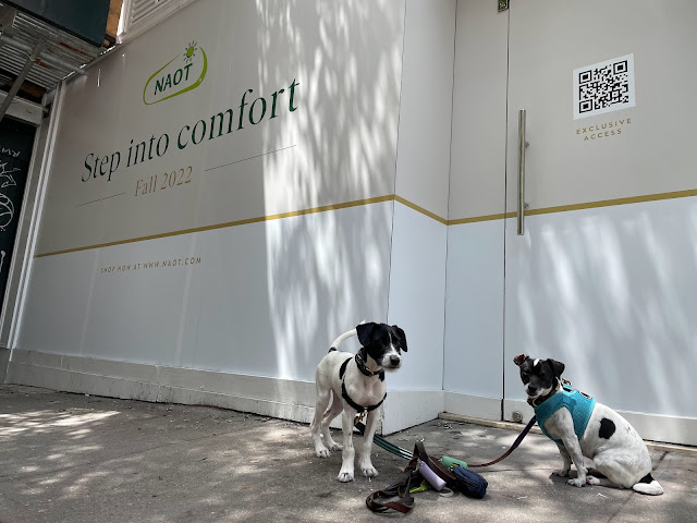 Naot Footwear by null