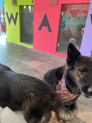 Clínica veterinaria Wawao Estética, Hotel y Boutique