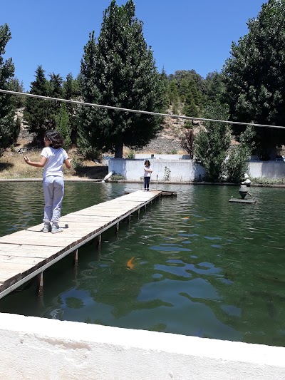 Photos of Atlas Fish