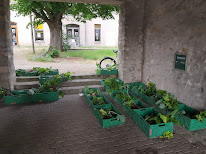 AMAP Palabres autour d'un panier à Noisy-le-Roi