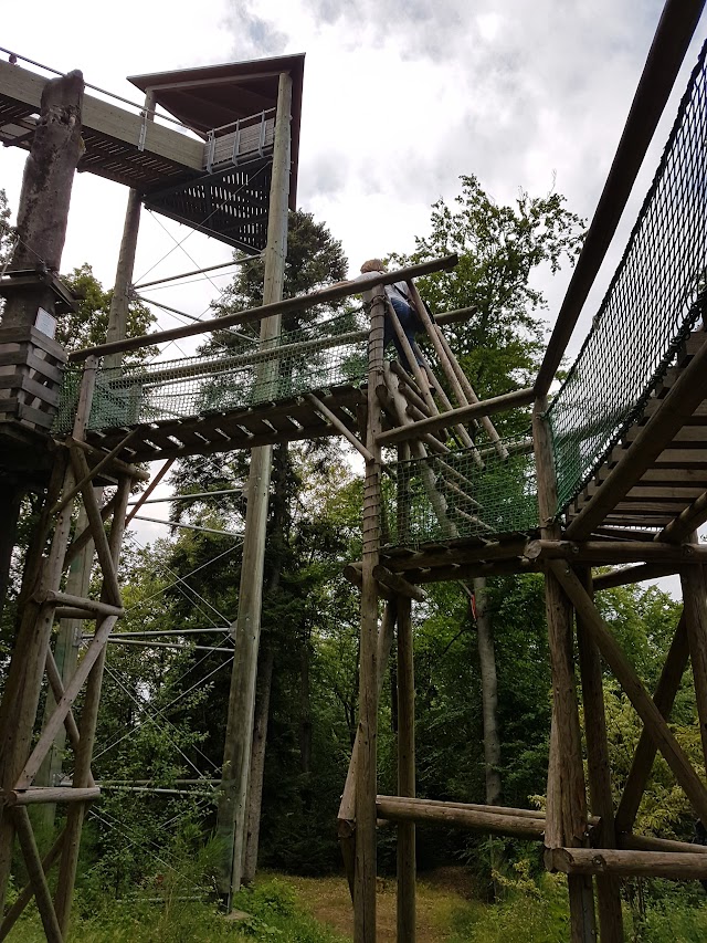 Baumkronenweg Waldkirch