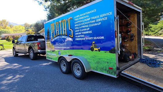 Platas tree service 140 Gentry Dr, Waynesville, NC 28786
