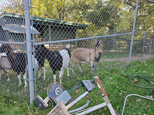 Wedrose Acres