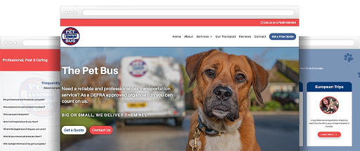 Wingnut Websites - Thumbnail