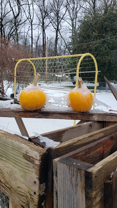 Arden Community Garden