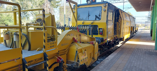 Taranto Galese - Visual