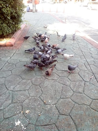Photos of el emperador Park