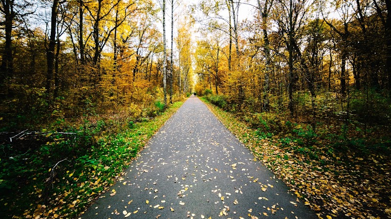 Spero Wellness Clinic