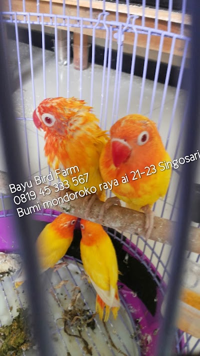 Photos of Bayu Bird Farm