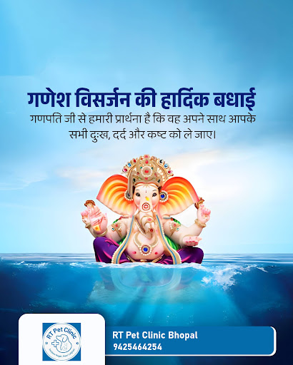 Happy Ganesh Visarjan! May Lord Ganesha take away all your troubles. post image