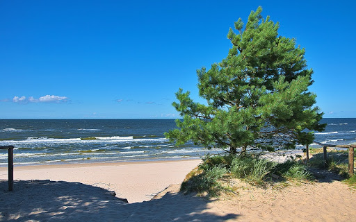 Prora107 - Visual