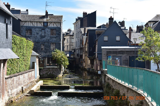 Photo de Camping Risle et Seine - Domaine des Etangs à Toutainville (27500)