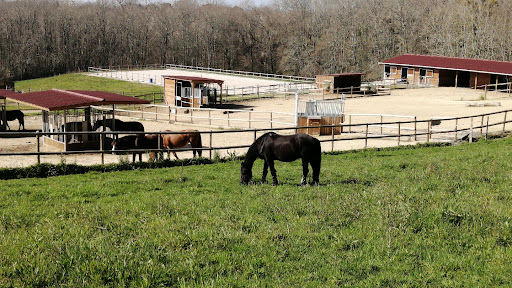 Photo de Les Écuries de Mées à Mées (40990)