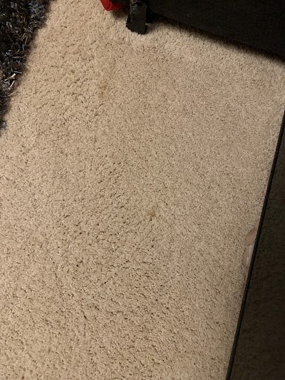 Complete Carpet Care