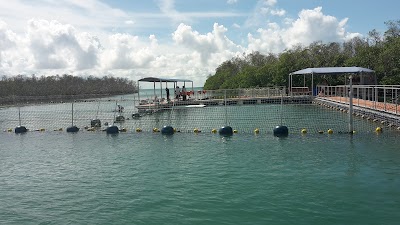 Photos of Delfinario Cayo Blanco