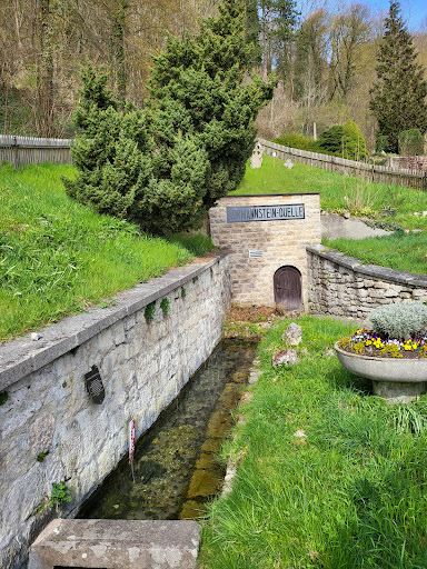 Normannstein-Quelle - Visual