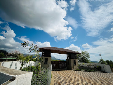 Af1qipnrvfsyuweuv7ofrrdcl4hymegcw3w0tpvpcval=s387 K No