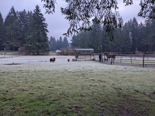BiMidBar Farm - Thumbnail