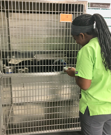Gainesville Animal Hospital West - Thumbnail