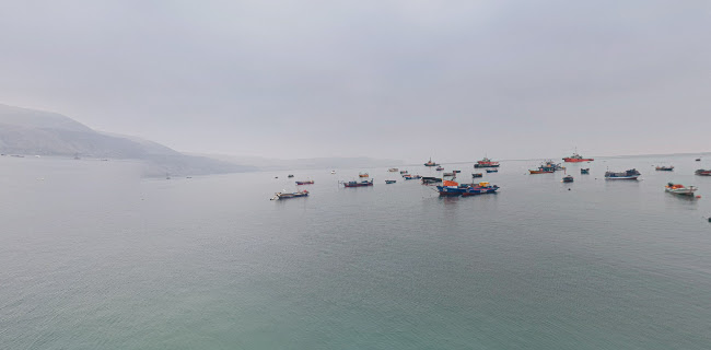 Terminal Pesquero Mejillones
