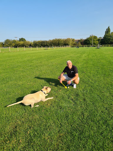 Paddock for paws - Visual