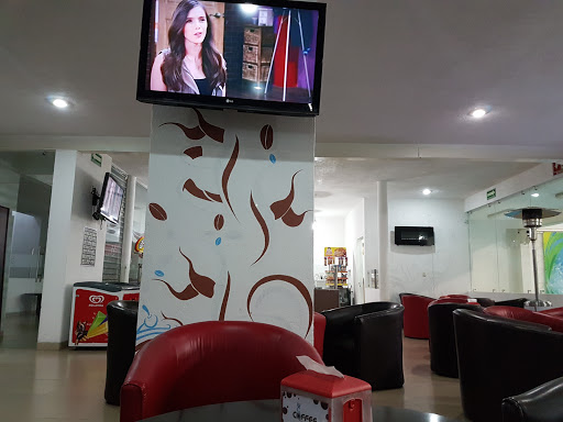 Sport One Fitness Club - Thumbnail