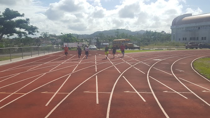 Estadio Cristobal Caguitas Colon, Author: Geovannie Santiago