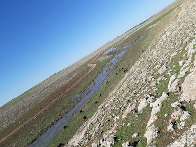 Photos of beyaztaş koy&uuml;