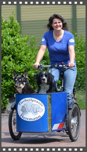 Tierheilpraxis Herrmann - Thumbnail