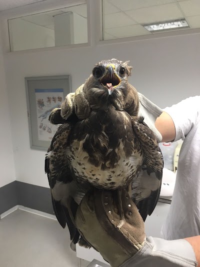 Photos of AniCura Small Animal Medical Center H&uuml;ttig